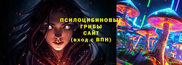 СК Алексеевка
