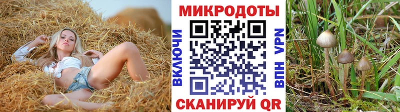 Галлюциногенные грибы Magic Shrooms  Менделеевск 